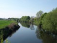 /album/my-local-birding-gallery/reflections-on-the-river-calder-at-horbury-jpg/